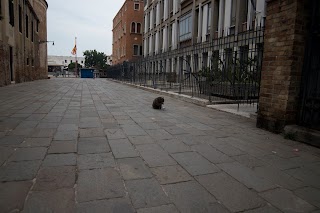 INAIL Dipartimento Territoriale Venezia Centro Storico