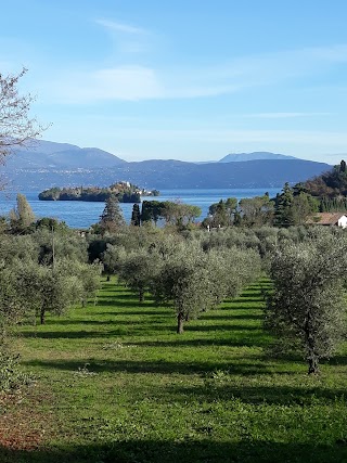 Fratelli Castellini Sas Di Castellini Geom. Donato E C.