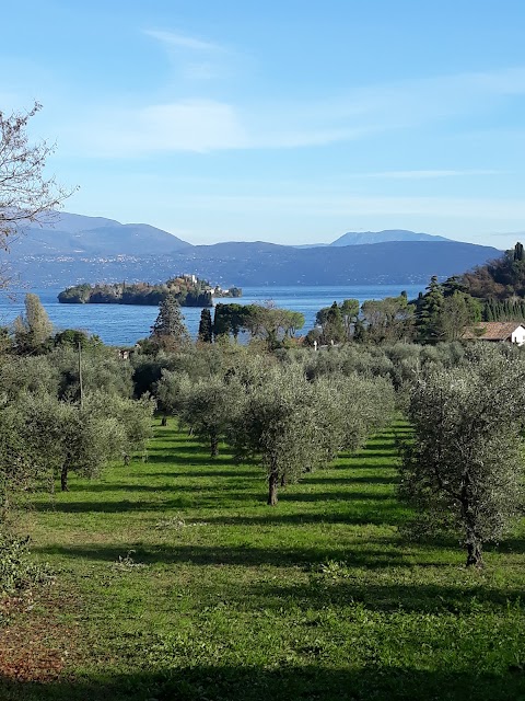 Fratelli Castellini Sas Di Castellini Geom. Donato E C.