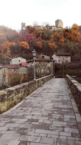 Danesi Munizioni Snc di Danesi A e C.