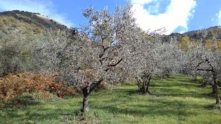 Associazione Strada del Vino Cesanese