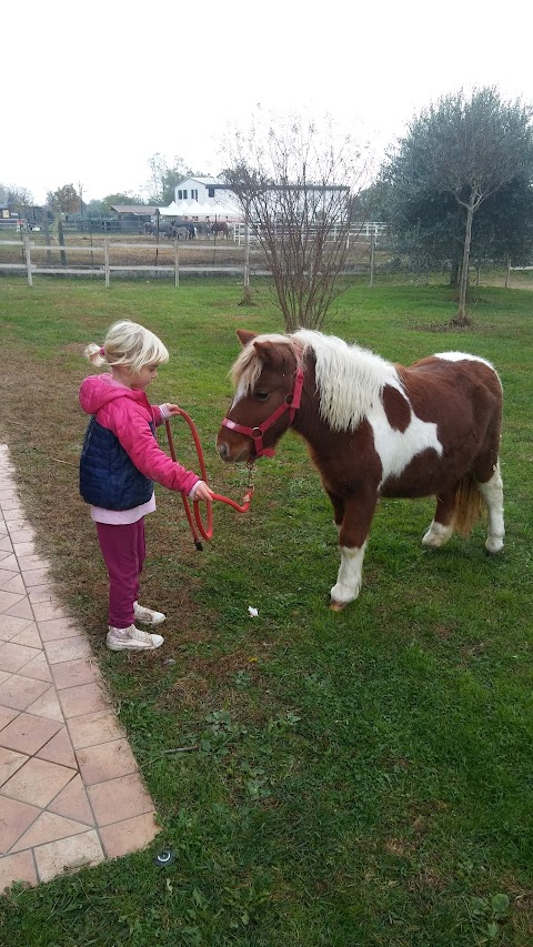 Family Ranch