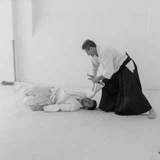 Aikido - Zanshin Dojo - Milano