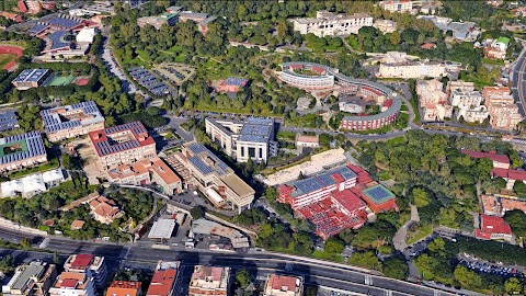 Università degli Studi di Catania – Dipartimento di Scienze Chimiche