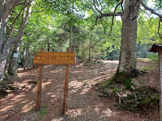 Passo dell'Incisa