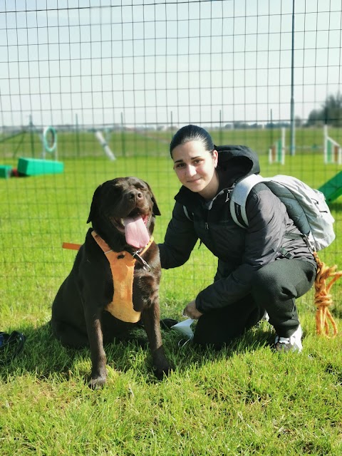 Centro Cinofilo Dogs' College