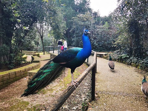 Bioparco di Roma