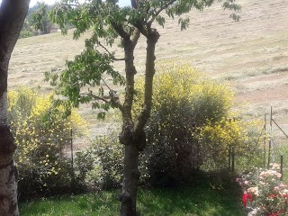 Collina del Sole