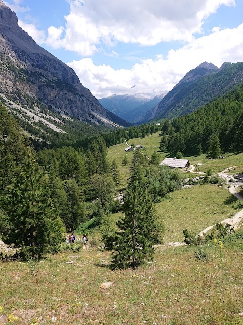 Cani da slitta La Tribù rando