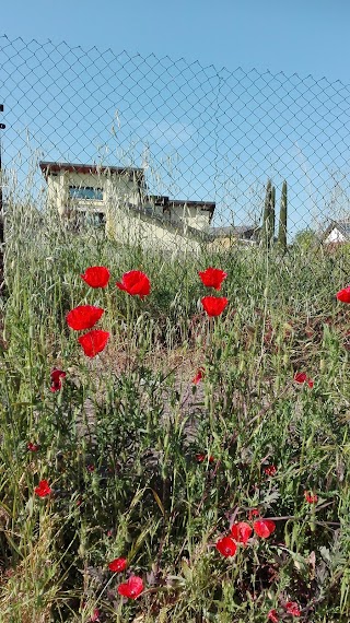 Famila Brescello