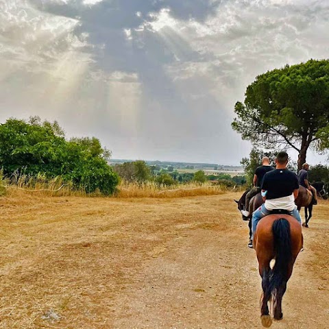 Maremma Escursioni