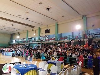 Società Ginnastica Solaris ASD c/o Palazzetto dello Sport