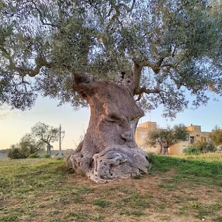 Gravina Grande di Castellaneta