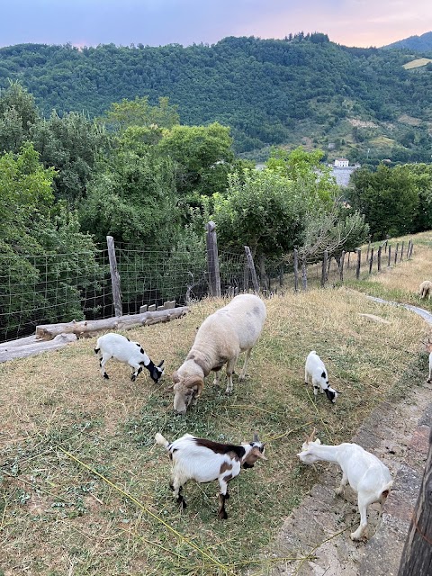 Casa Vacanze Podere Ugolini