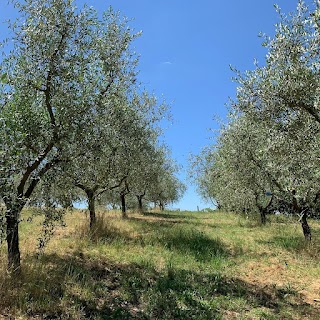 Podere Carraia