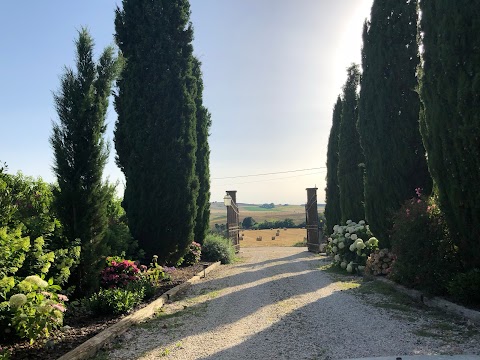 B&B Podere Matilde