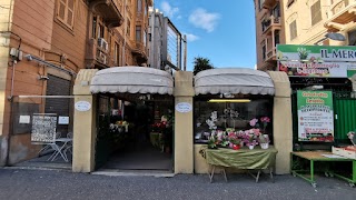 Rose e Cose - Piante, Fiori, Articoli da Regalo - Fioraio Genova