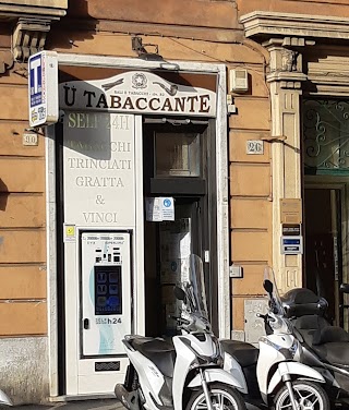 Ü Tabaccante