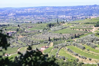 Azienda Agricola Antica Valpolicella