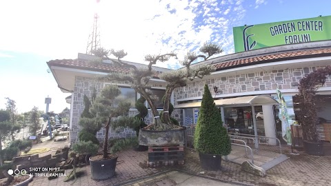 Forlini Garden Center