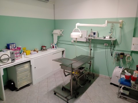 NebroVet Ambulatorio Veterinario Associato