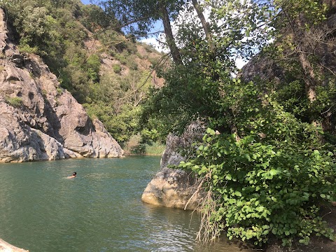 Riserva Naturale Foresta di Berignone