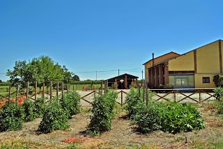 Agriturismo San Bruno della Certosa