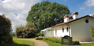 Ristorante Cinque Cucchiai