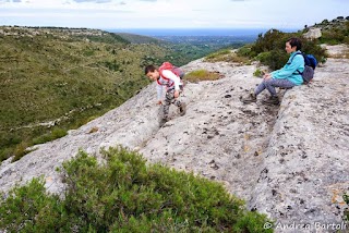 Monte Finocchito