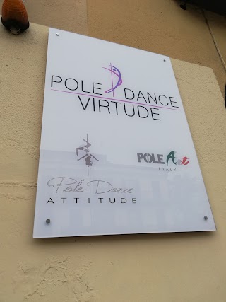 Pole Dance Virtude