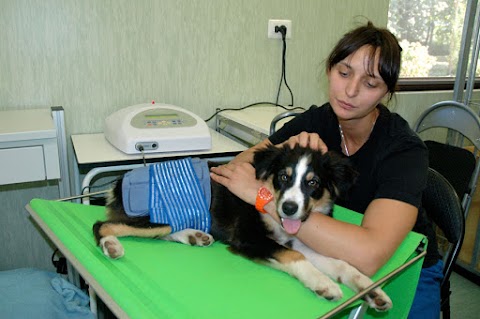 Centro di fisioterapia veterinaria Villa Beria