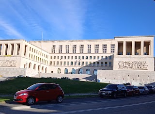 Università degli Studi di Trieste