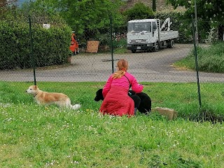 Rifugio del Cane di Pistoia