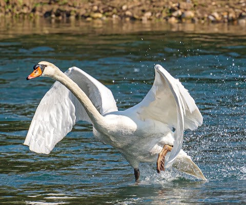 Parco Naturale Regionale del Fiume Sile