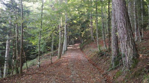 Monte Della Croce