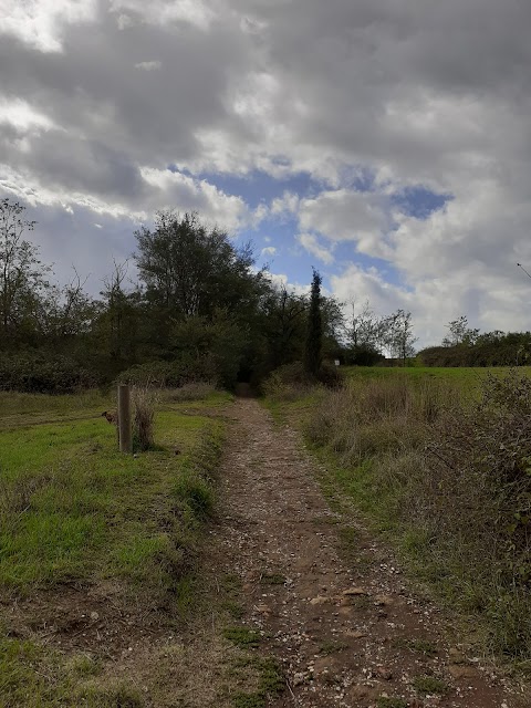 Tenuta di Tormarancia