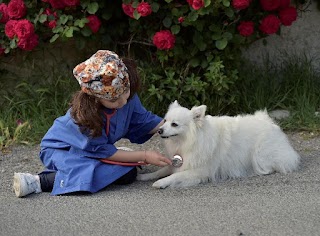 Clinica Veterinaria Citta' del Marmo Pronto Soccorso 24h