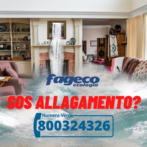 Fageco Ecologia Srl Autospurgo