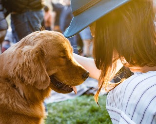 Ram Service Cremazione Animali