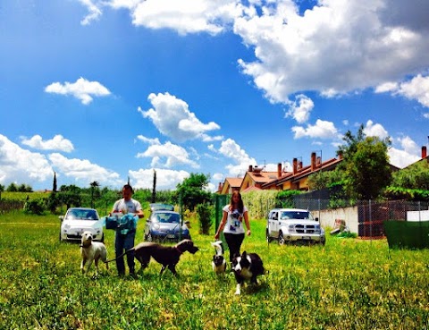 Centro Cinofilo Manu Dog Camp A.S.D.