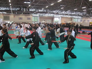 HUNG SING KUNG FU MARTIAL ARTS ACADEMY. Ravenna Centro Reg Emilia-Romagna