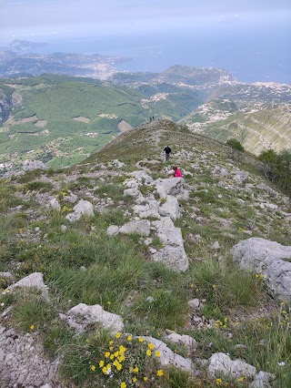 Monte Faito Area Picnic