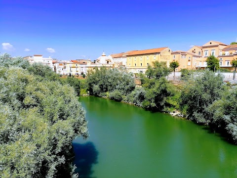 Istituto Superiore di Scienze Religiose Interdiocesano "Ss. Apostoli Pietro e Paolo" - Area Casertana