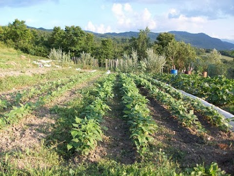 Agriturismo Poggio d'incanto