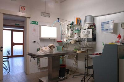 Studio Veterinario Associato