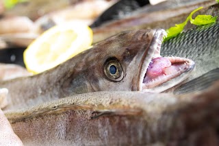 Pescheria L'Ancora di Farci Daniela