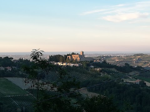 Trattoria Di Ardiano