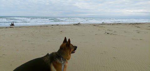 Rosolina Mare Beach