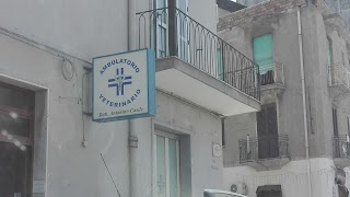 Ambulatorio Veterinario Casile Antonino