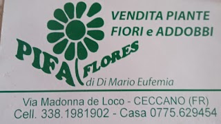 Pifa Flores